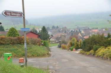Der Kornbergweg soll mit einem Trottoir auf die ganze Ausbaulänge versehen werden.