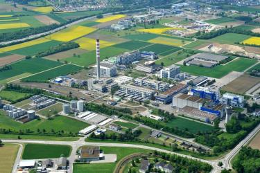 Cofely und ewz planen ein Holzheizkraftwerk auf dem Gelände der DSM im Sisslerfeld.