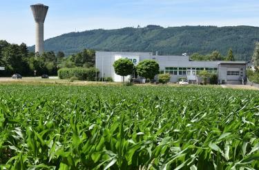 Das Nachbargrundstück der Firma Wild Flavors soll wieder Eigentum der Gemeinde werden. Foto: Susanne Hörth