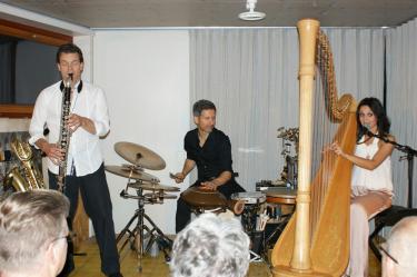 Das Trio Dell’Amore spielte in Gipf-Oberfrick, von links: Daniel Küffer (Saxophon), Andi Pupato (Perkussion) und Désirée Dell’Amore (Harfe). Foto: zVg