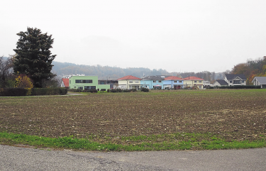 Dieses noch unerschlossene Bauland möchte der Gemeinderat Sisseln erwerben. Foto: Susanne Hörth
