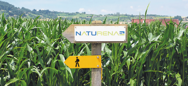 Der Sinnespfad (Naturena-Weg) ist ein beliebtes Ausflugsziel. Foto: Andrea Marti
