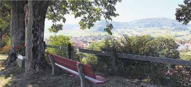 Beim Kreuz in Gipf-Oberfrick fand am letzten Wochenende eine Party statt. Rücksichtslos wurden leere Flaschen und Büchsen zurückgelassen. Foto: Archiv Gemeinde Gipf-Oberfrick
