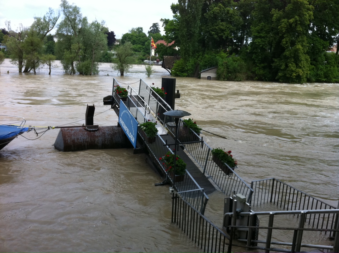 Neue Fricktaler Zeitung Hochwasser Noch keine Entwarnung am Rhein